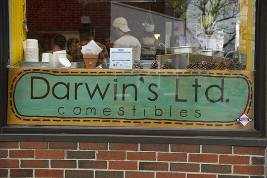 Darwin's Ltd.旅游景点图片