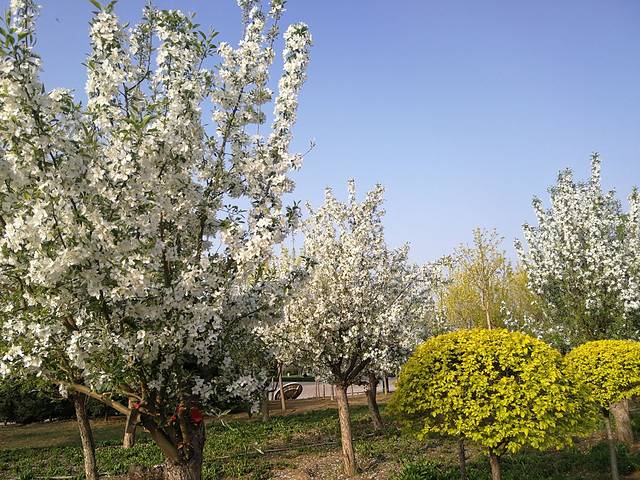 河曲县临隩公园