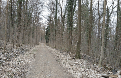 Naturschutzgebiet Unteres Feuerbachtal mit Hangwaldern und Umgebung