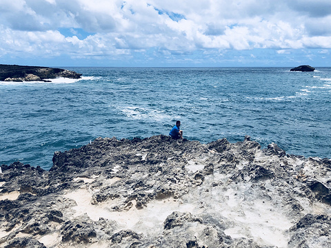 Laie Point State Wayside Park旅游景点图片