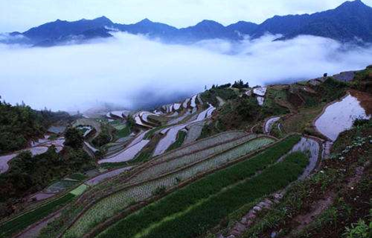 白际原生态风景区