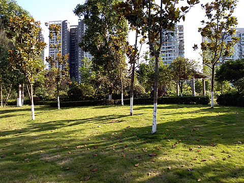 东坡公园