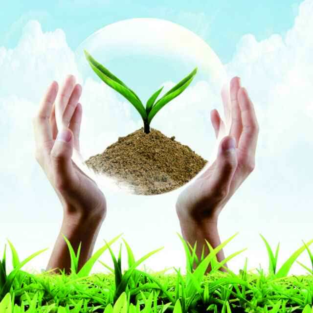 回味鸭血粉丝汤(句容华阳店)