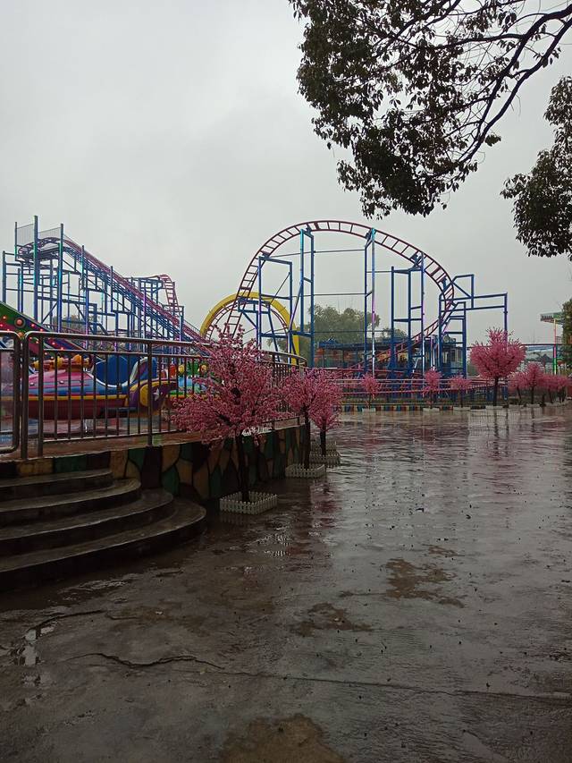 凤凰山森林公园