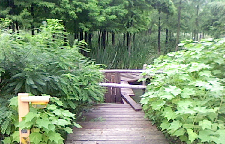 蔷薇园体育公园