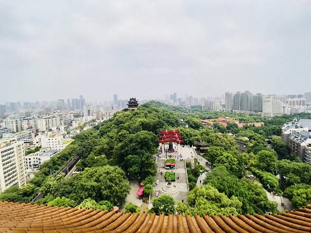 星巴克(武汉大学店)