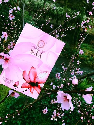 义乌国际博览中心