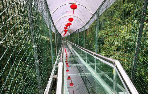 华西村玻璃桥的图片