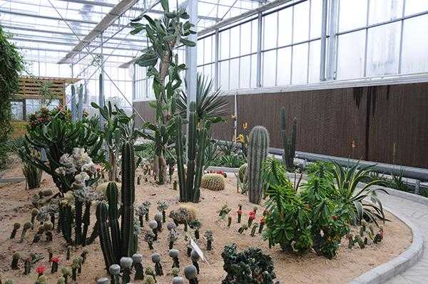 鹭园生态湿地馆