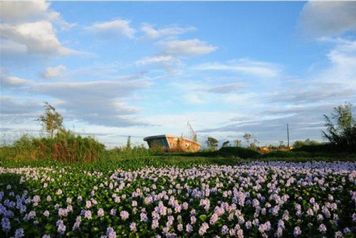 官渡五甲塘城市公园