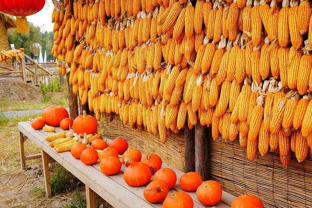 二河开21号艺术区