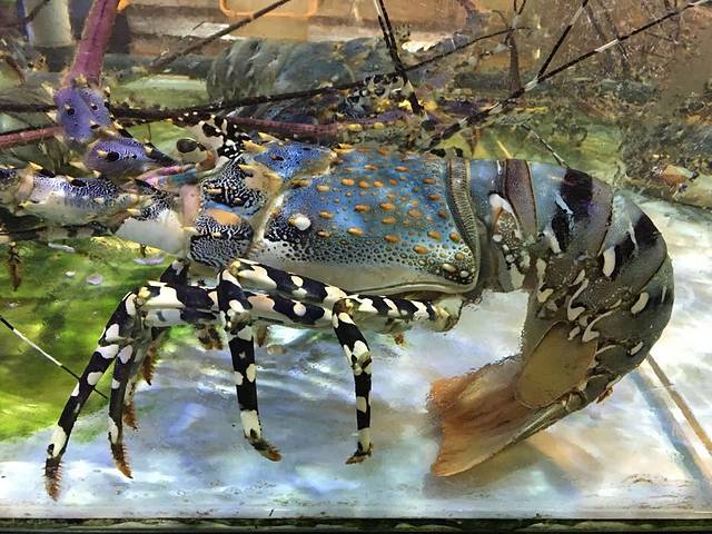 Forest Park Conservation Area Tahura Ir. H. Juanda