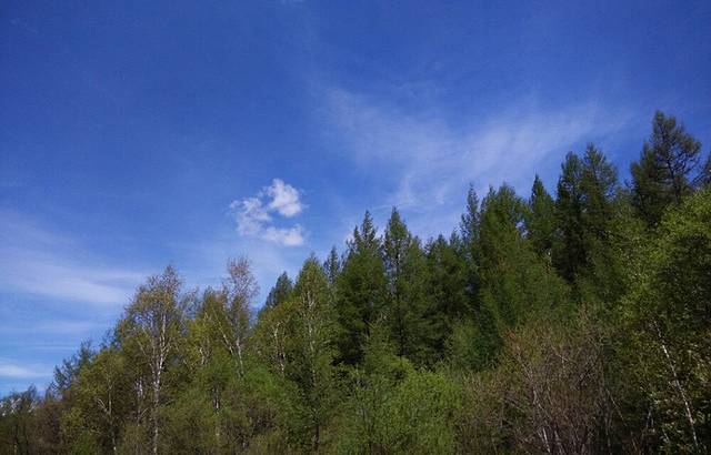 绰源国家森林公园