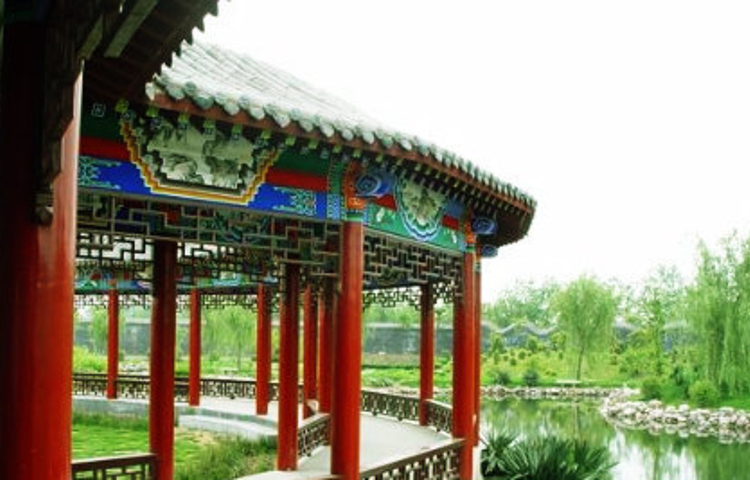 濮阳毛楼生态旅游区