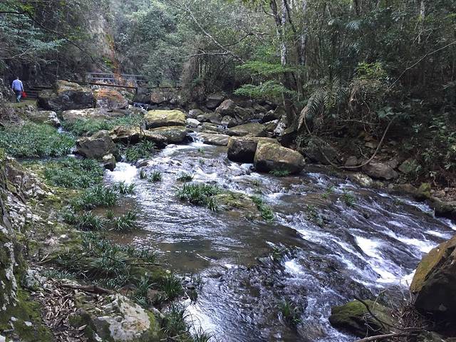 三叠井森林公园