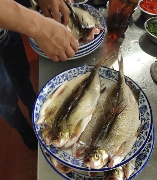 庐山西海山里湖农庄