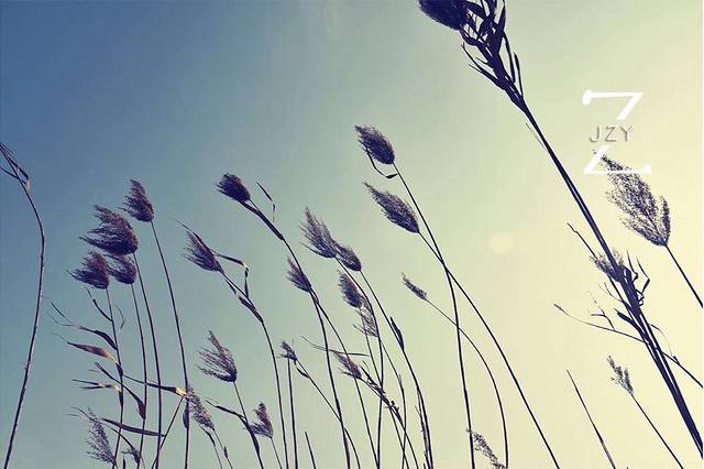 东洞庭湖国家级自然保护区