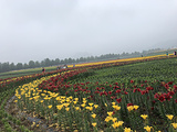 嵖岈山风景区