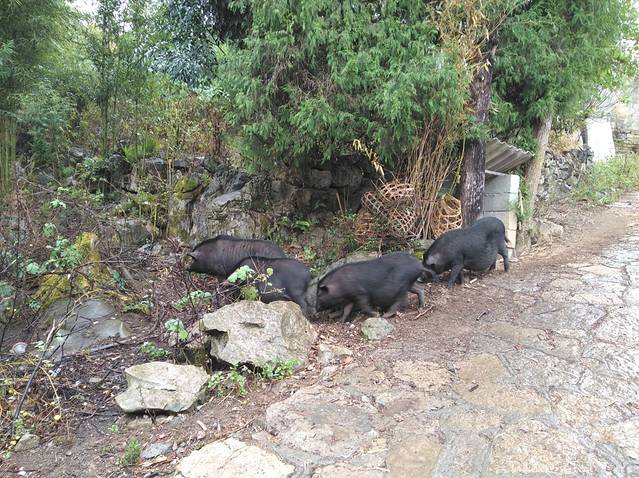 广西南丹县里湖白裤瑶生态博物馆