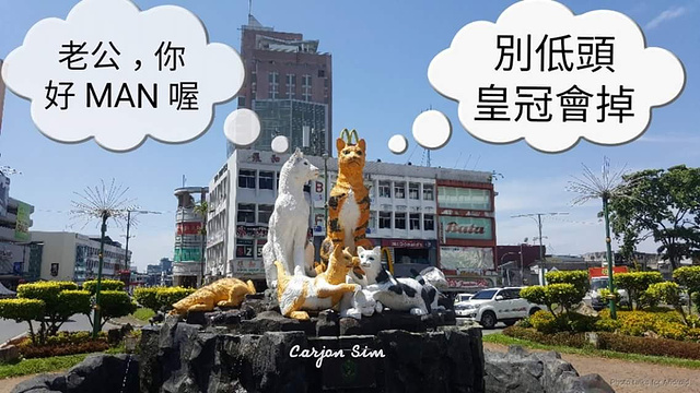 猫塑像旅游景点图片