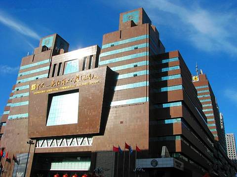 中兴-沈阳商业大厦
