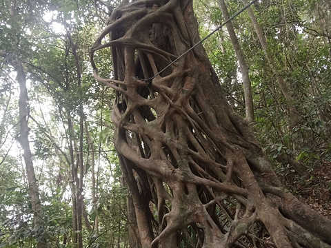 乐萄萄农业生态园旅游景点图片