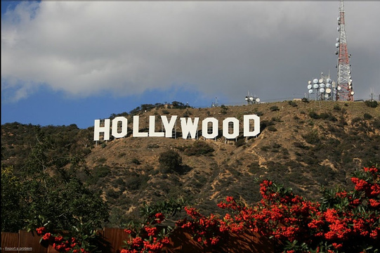 好莱坞标志旅游景点图片