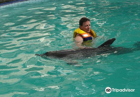 Melka Excelsior Dolphin & Wildlife Resort
