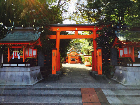 Hiraki Ki Shrine旅游景点图片