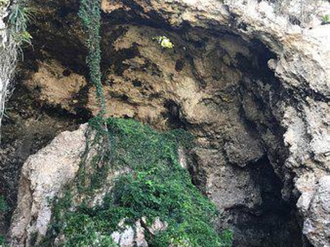 Monumento Historico Cueva Maria de La Cruz旅游景点图片