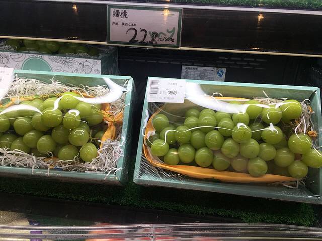 滁州市农歌会广场