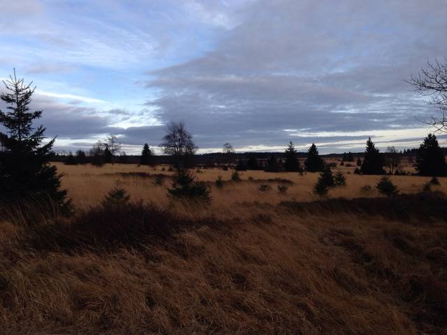 Le Signal de Botrange