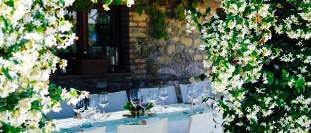 Tenuta Vitalonga Winery