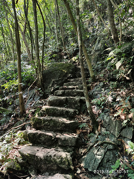 贵州茂兰国家级自然保护区-金狮洞的图片