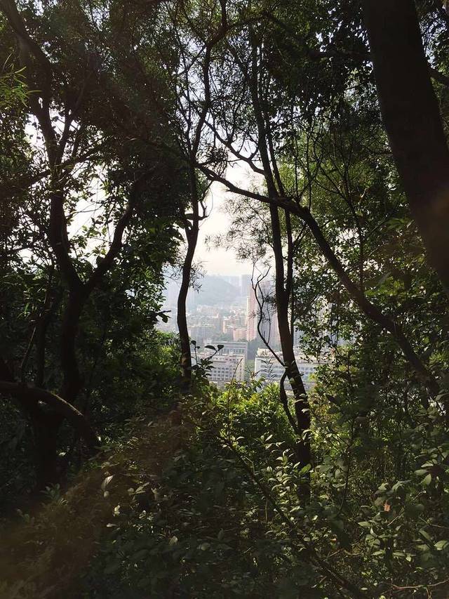 深圳市围岭公园