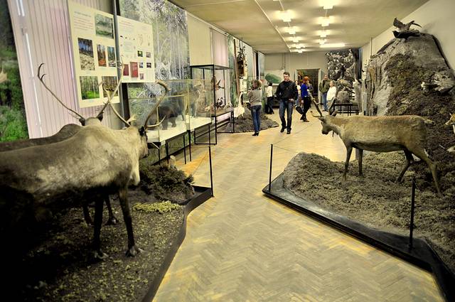 摩尔曼斯克州地方志博物馆