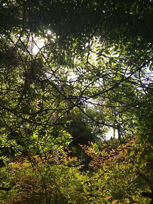 梧桐购物休闲广场