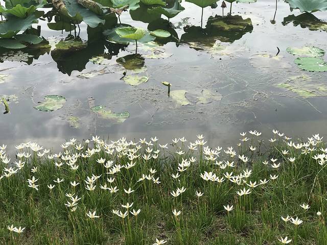 杭州西湖风景名胜区-玉带桥