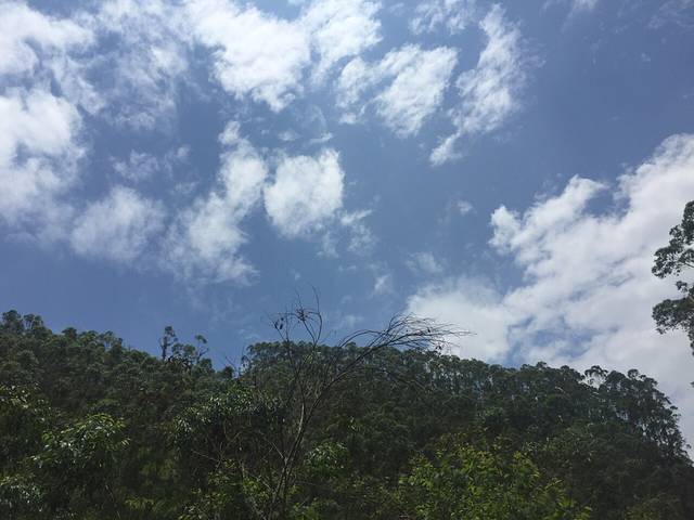 云勇国家森林公园