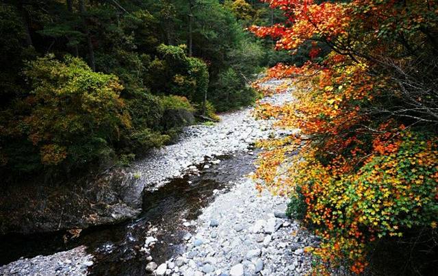 武陵国家森林游乐区
