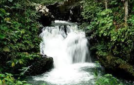 乌鲁庞森林保护区旅游景点图片