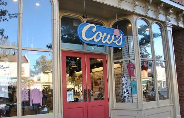 Cows Niagara-on-the-Lake