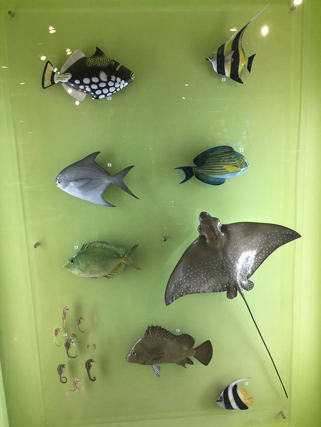 曼谷科学教育中心