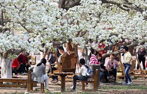天佛风景名胜区