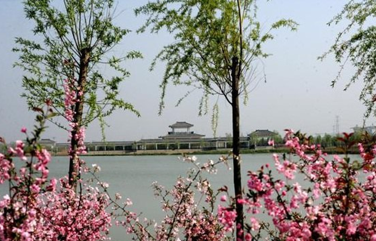 沙沟湖水杉公园