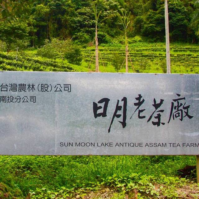 日月老茶厂