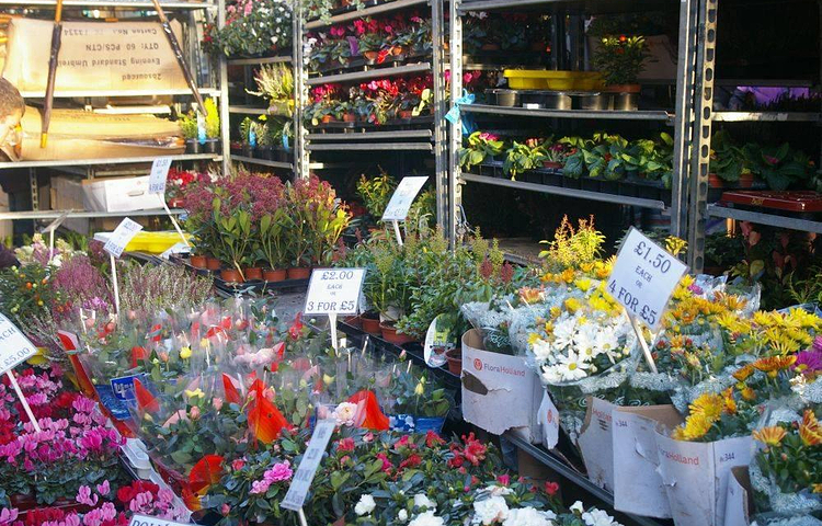 哥伦比亚街花卉市场