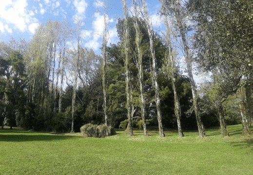 El Jardin Botanico de La Universidad Austral De Chile旅游景点图片