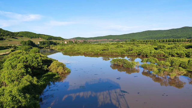 雁鸣湖湿地旅游景点图片