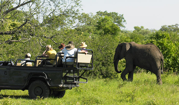 Amer Jeep Safari旅游景点图片